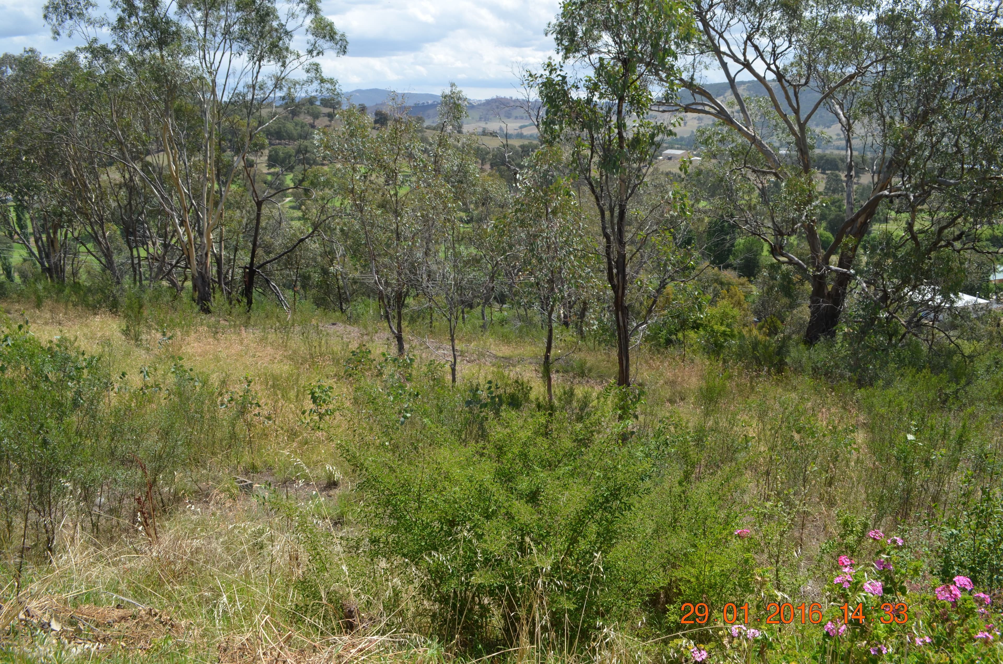 Lot 1 DP511186 Wynyard Street, TUMUT NSW 2720, Tumut - Thumbnail 6