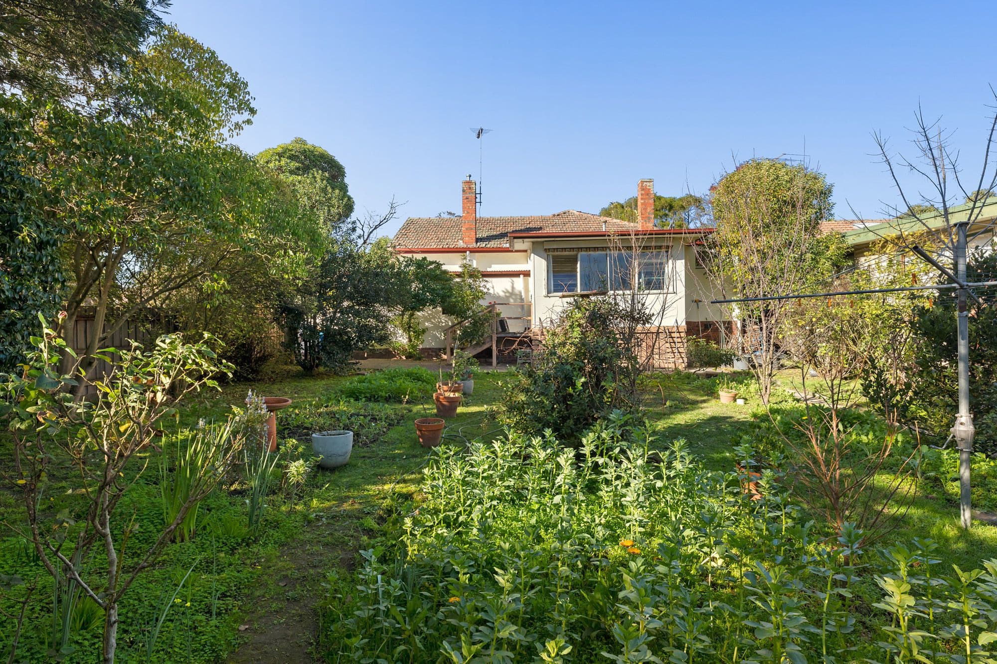 34 Grandview Avenue, Glen Iris VIC 3146, Glen Iris - Thumbnail 6