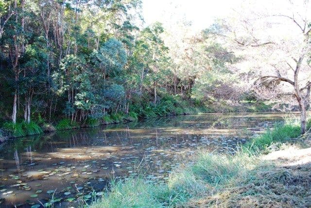 123 Arunta Drive, MOUNT NATHAN QLD 4211, Mount Nathan - Thumbnail 6