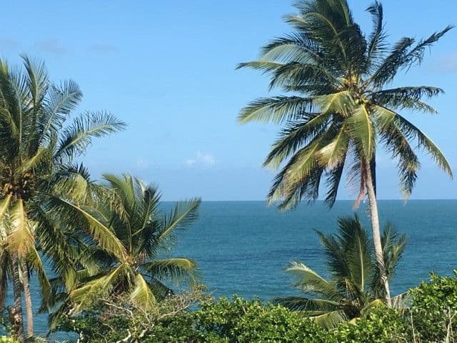 4B Cutten Street, Bingil Bay QLD 4852, Bingil Bay - Thumbnail 5