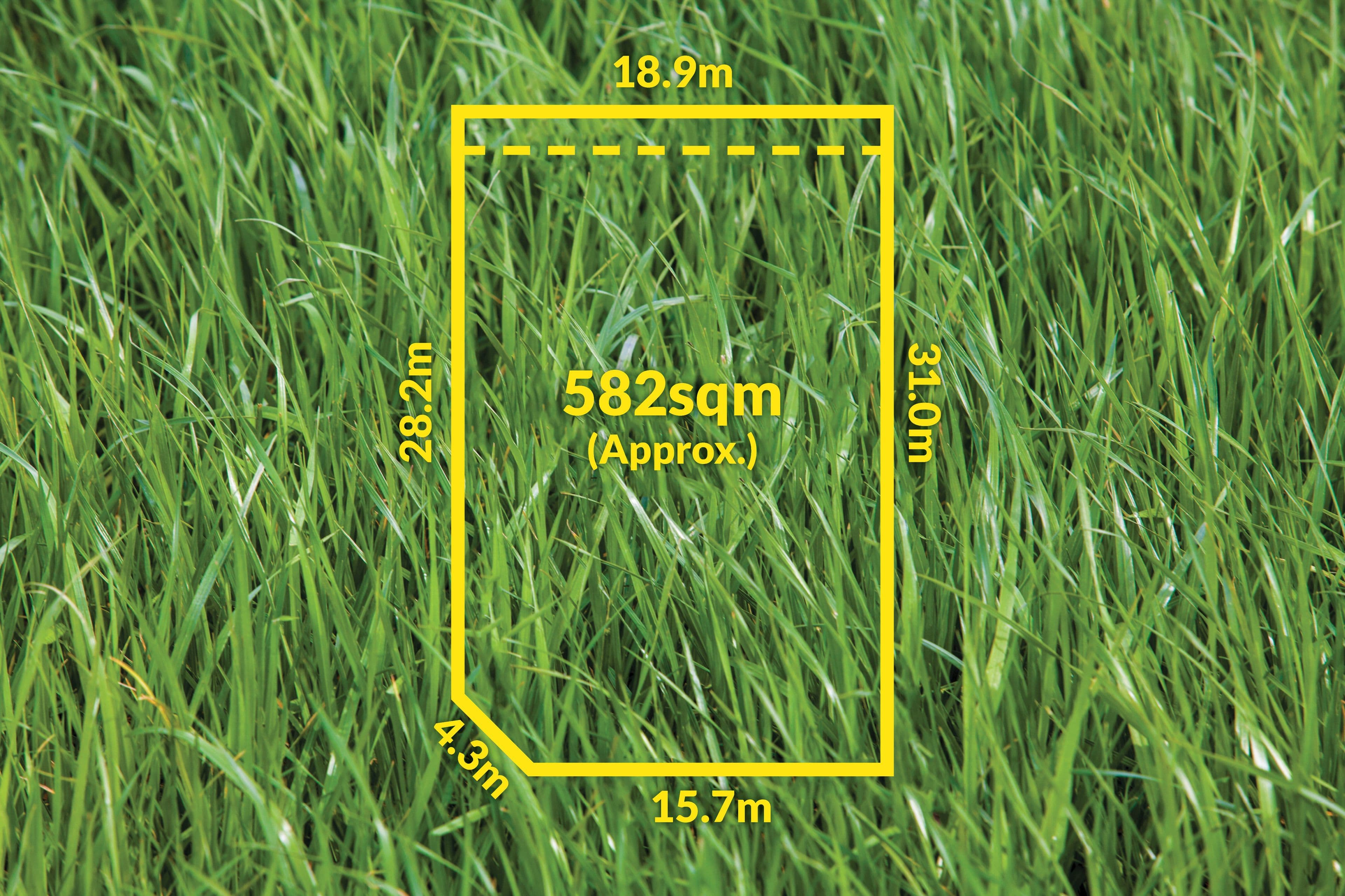 36 Middleborough Road, Burwood East VIC 3151, Burwood East - Thumbnail 3
