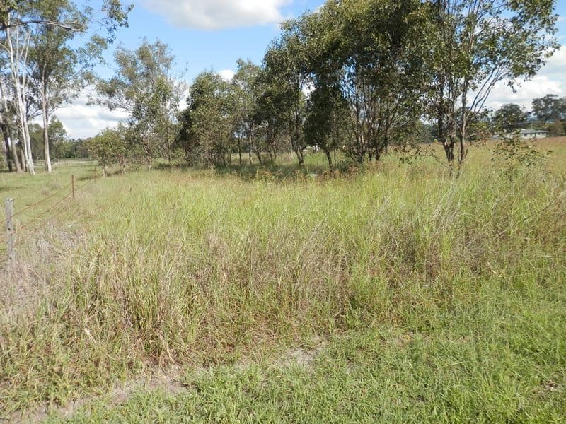 54 Napier Street, LAIDLEY QLD 4341, Laidley - Thumbnail 4