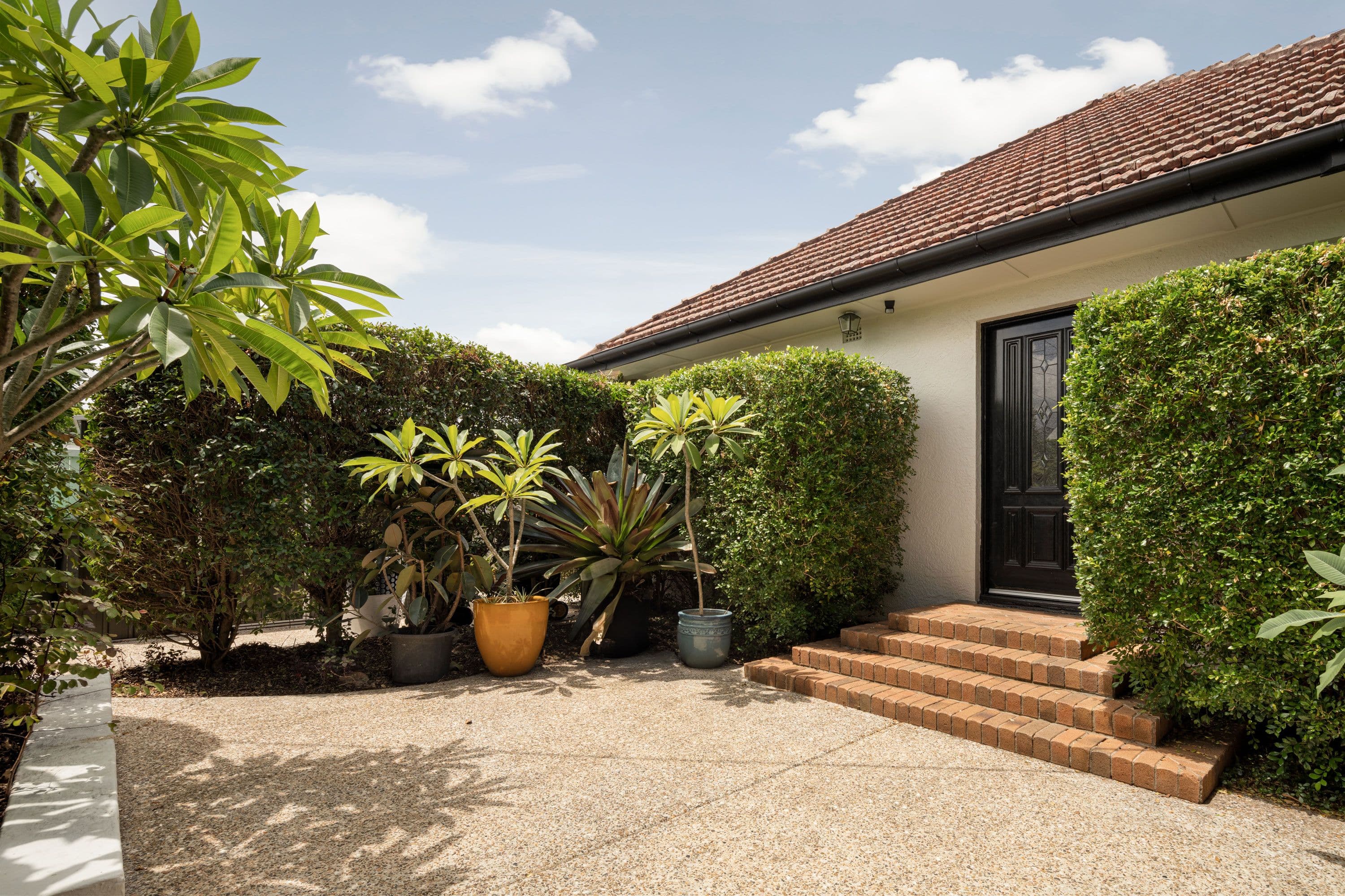 37 Coutts Street, Bulimba QLD 4171, Bulimba - Thumbnail 5