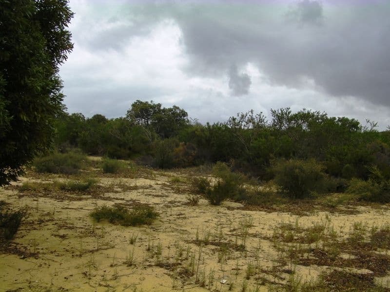 L262 Seaview Drive, KARAKIN WA 6044, Karakin - Image 1