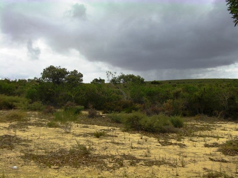 L262 Seaview Drive, KARAKIN WA 6044, Karakin - Thumbnail 2