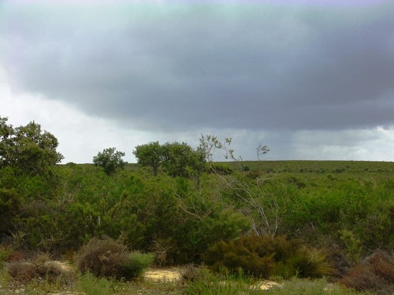 L262 Seaview Drive, KARAKIN WA 6044, Karakin - Thumbnail 4