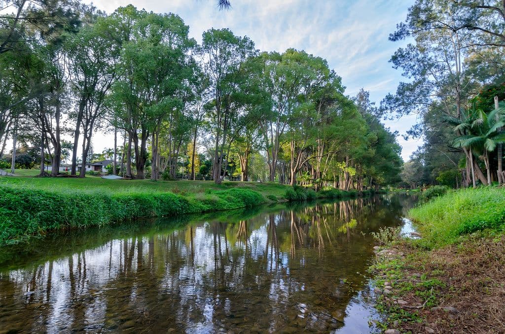 74 Coorabin Court, TALLEBUDGERA QLD 4228, Tallebudgera - Thumbnail 3