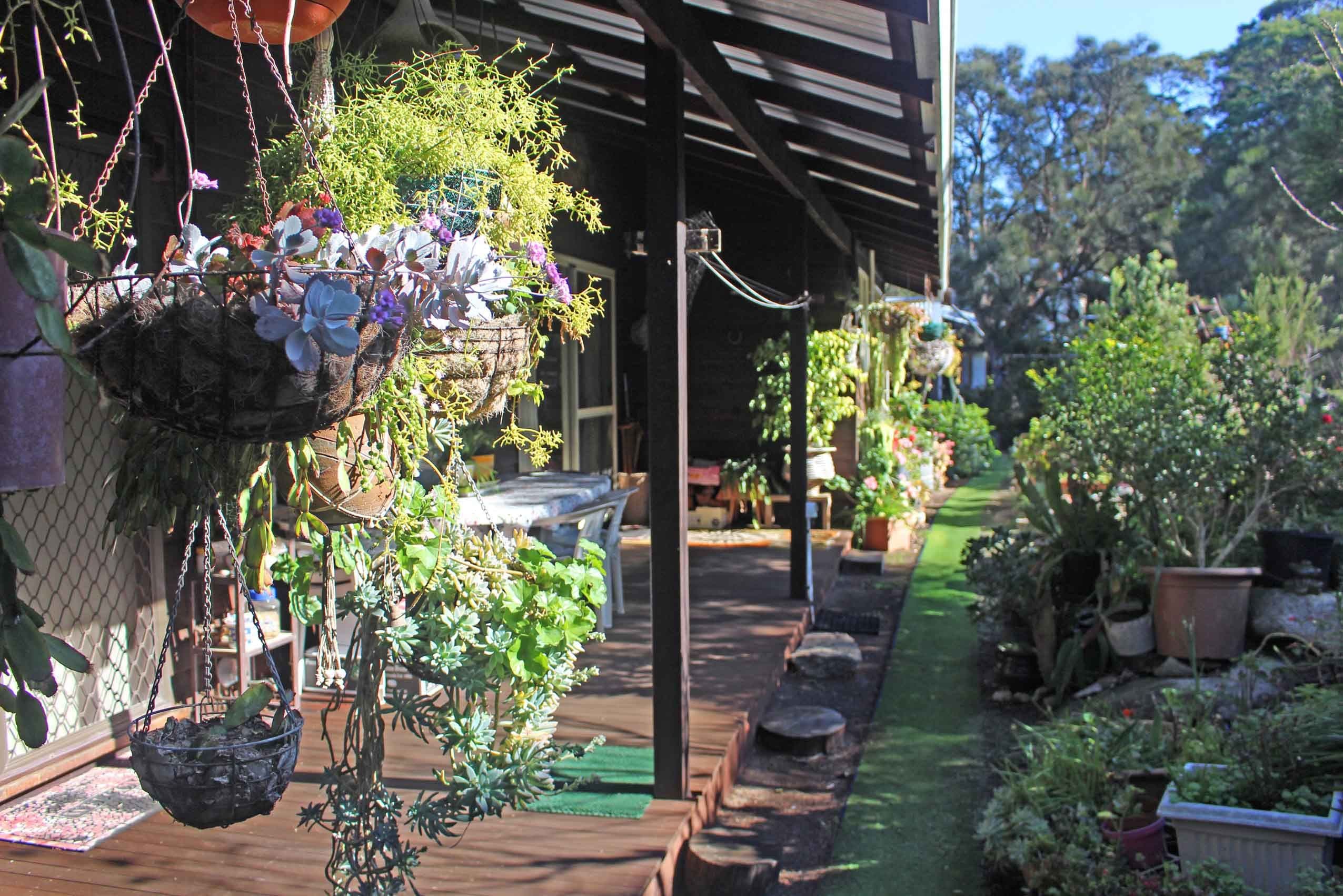 15 Berridge Street, Denmark WA 6333, Denmark - Thumbnail 3