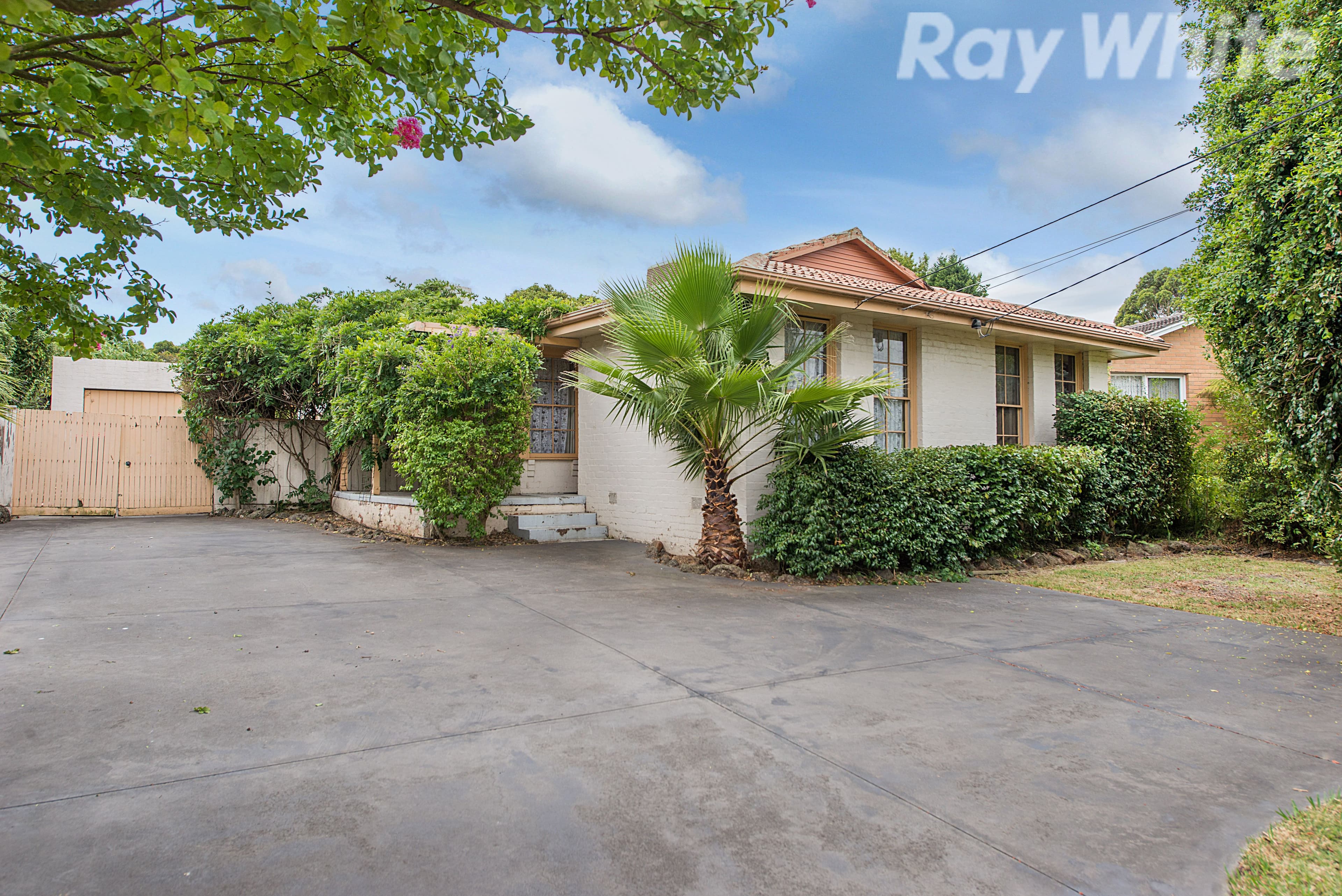 36 Laura Road, Knoxfield VIC 3180, Knoxfield - Thumbnail 3