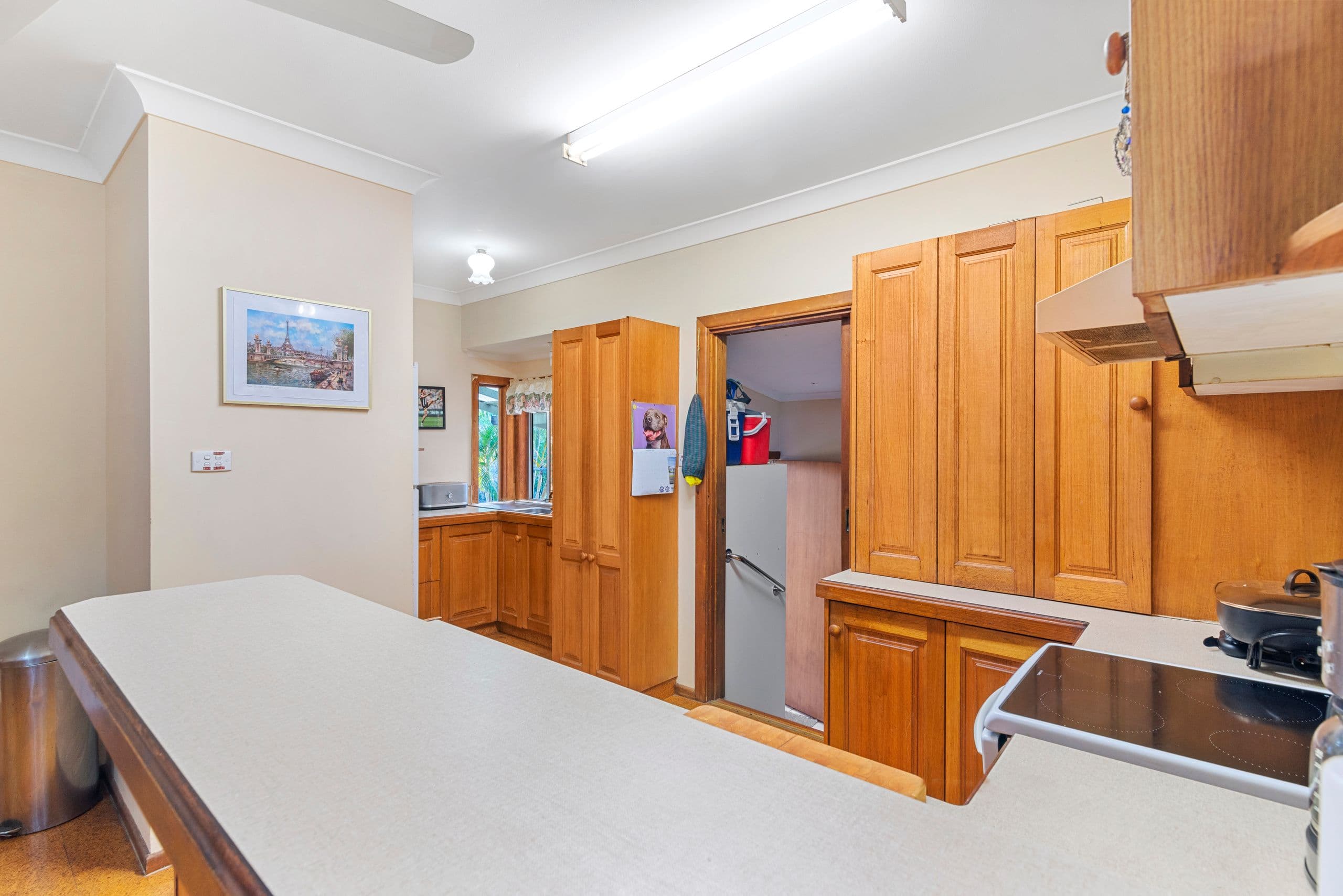 39 Irene Street, Tugun QLD 4224, Tugun - Thumbnail 6