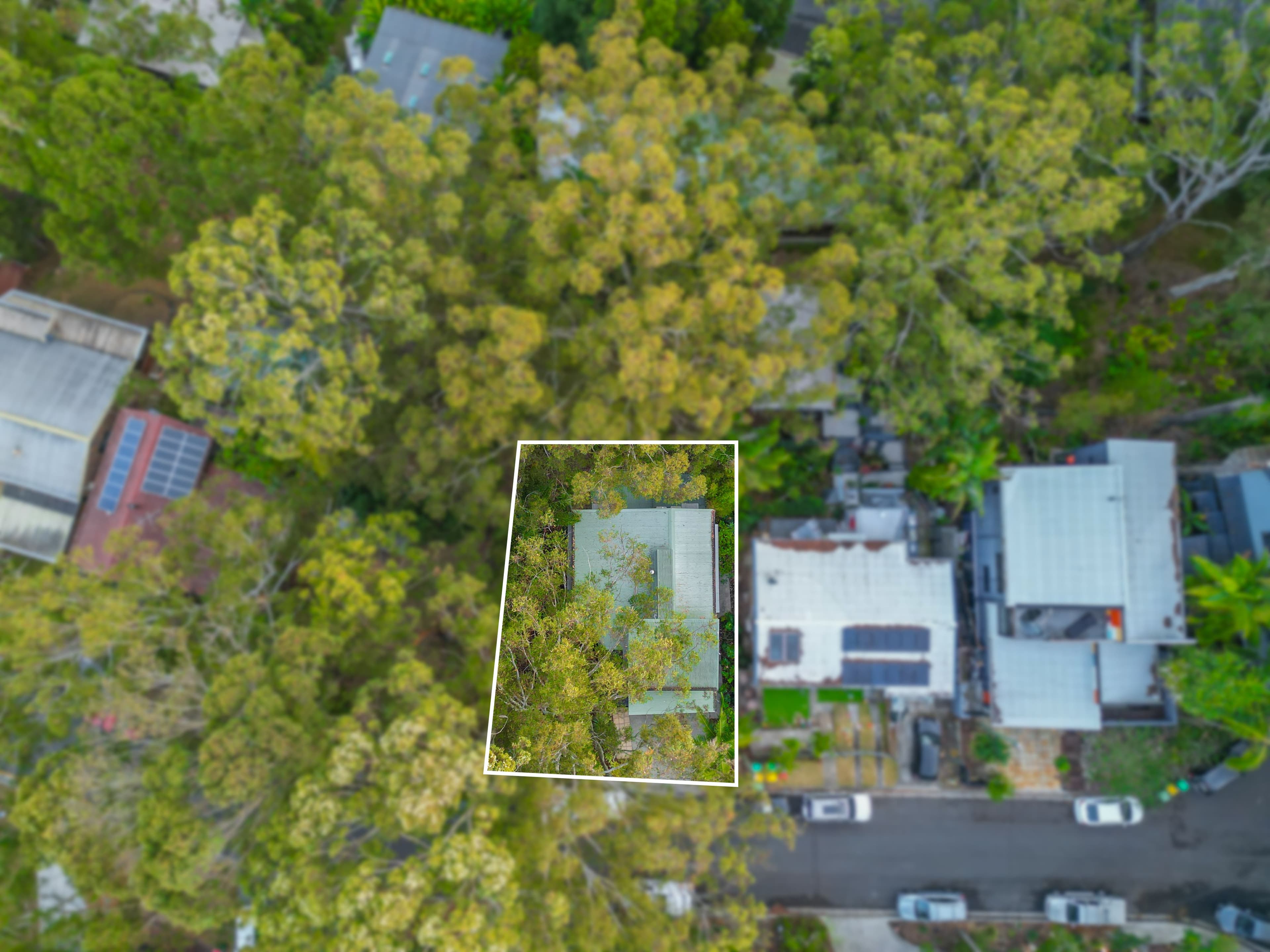 30 Domain Road, Currumbin QLD 4223, Currumbin - Thumbnail 2