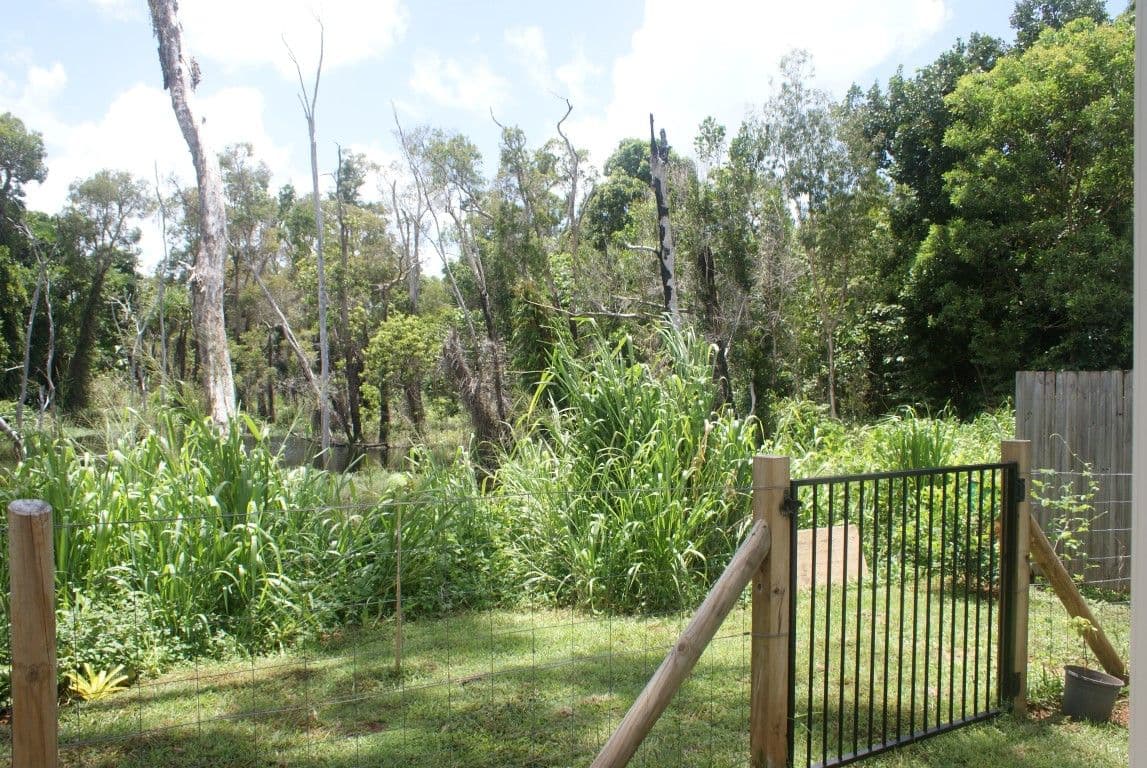 49 Conch Street, Mission Beach QLD 4852, Mission Beach - Thumbnail 8