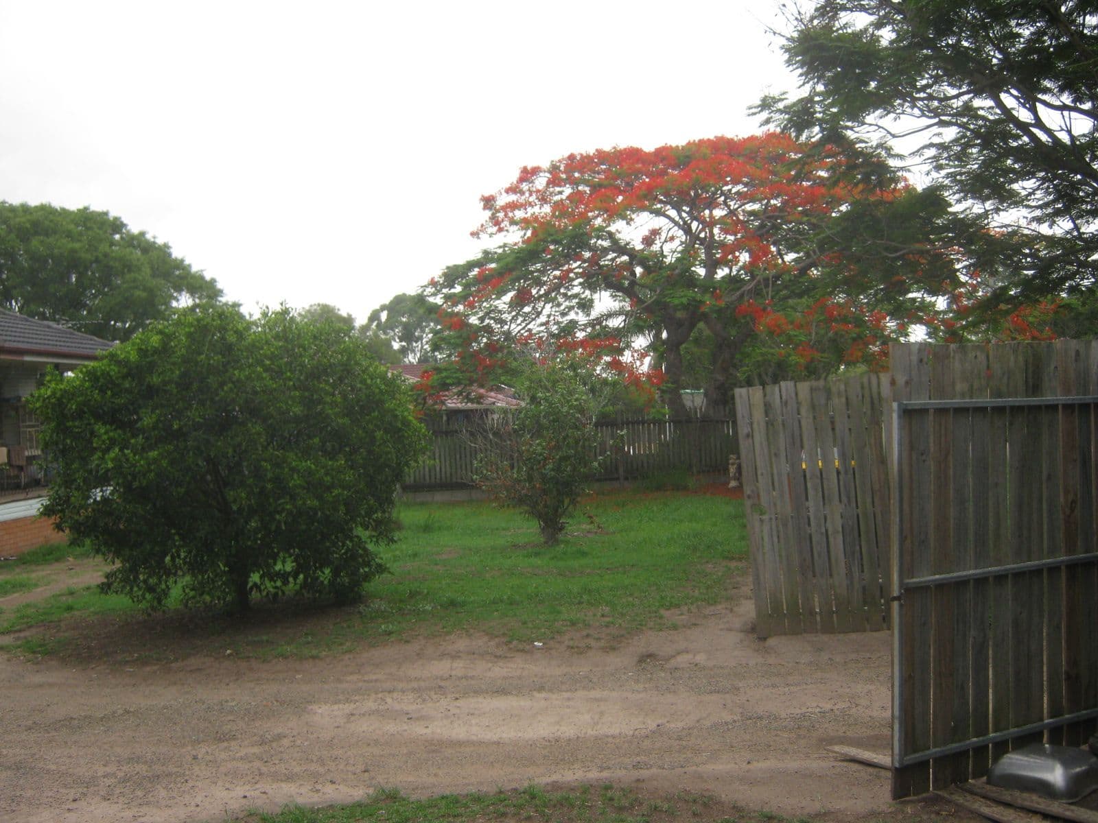 56 Stephen Street, Ellen Grove QLD 4078, Ellen Grove - Thumbnail 3