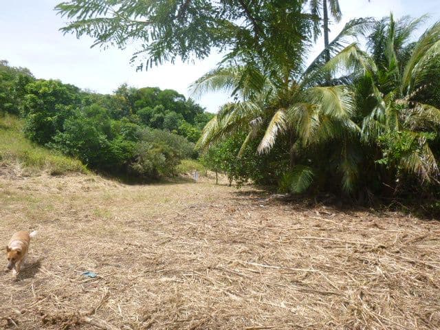 11 Ann Street, Cooktown QLD 4895, Cooktown - Thumbnail 2