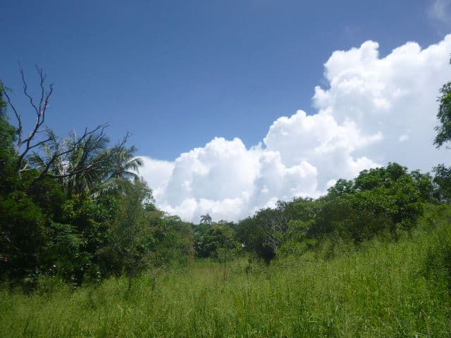 11 Ann Street, Cooktown QLD 4895, Cooktown - Thumbnail 4