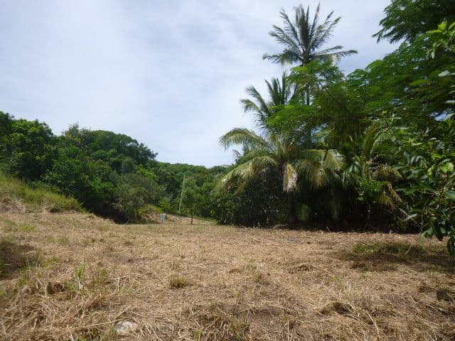 11 Ann Street, Cooktown QLD 4895, Cooktown - Thumbnail 5