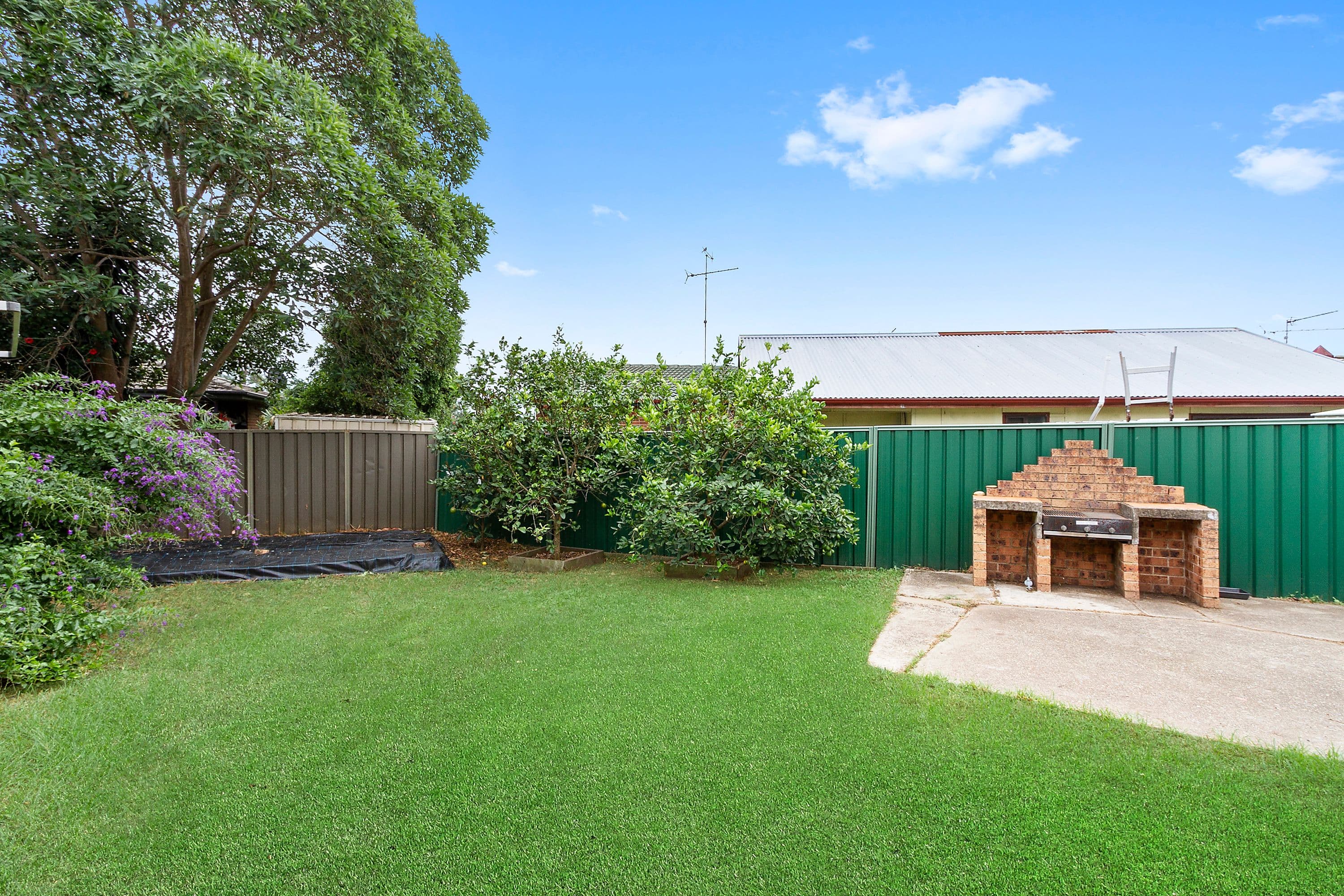 25 James Meehan Street, Windsor - Thumbnail 6