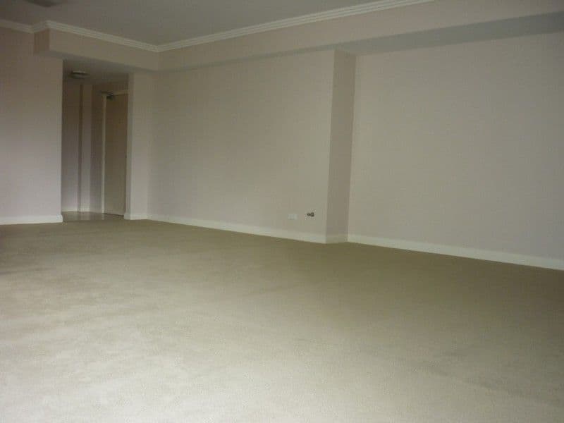 143 Bowden Street, MEADOWBANK NSW 2114, Meadowbank - Thumbnail 6