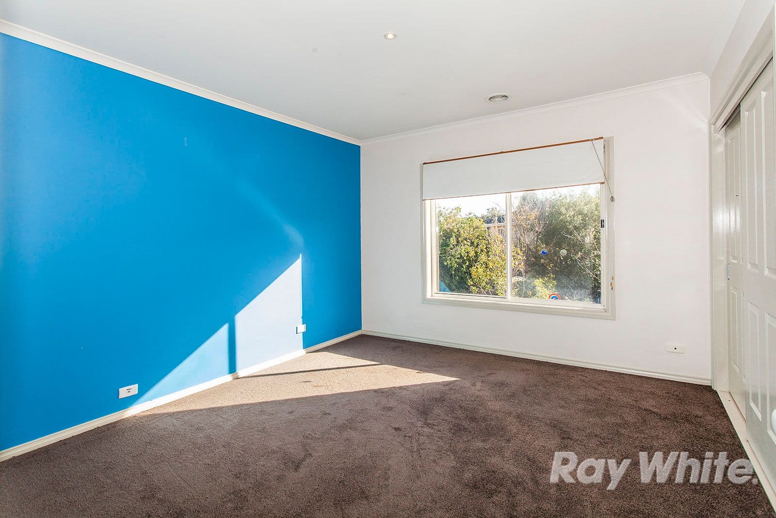 3 Watchtower Road, Coburg VIC 3058, Coburg - Thumbnail 5