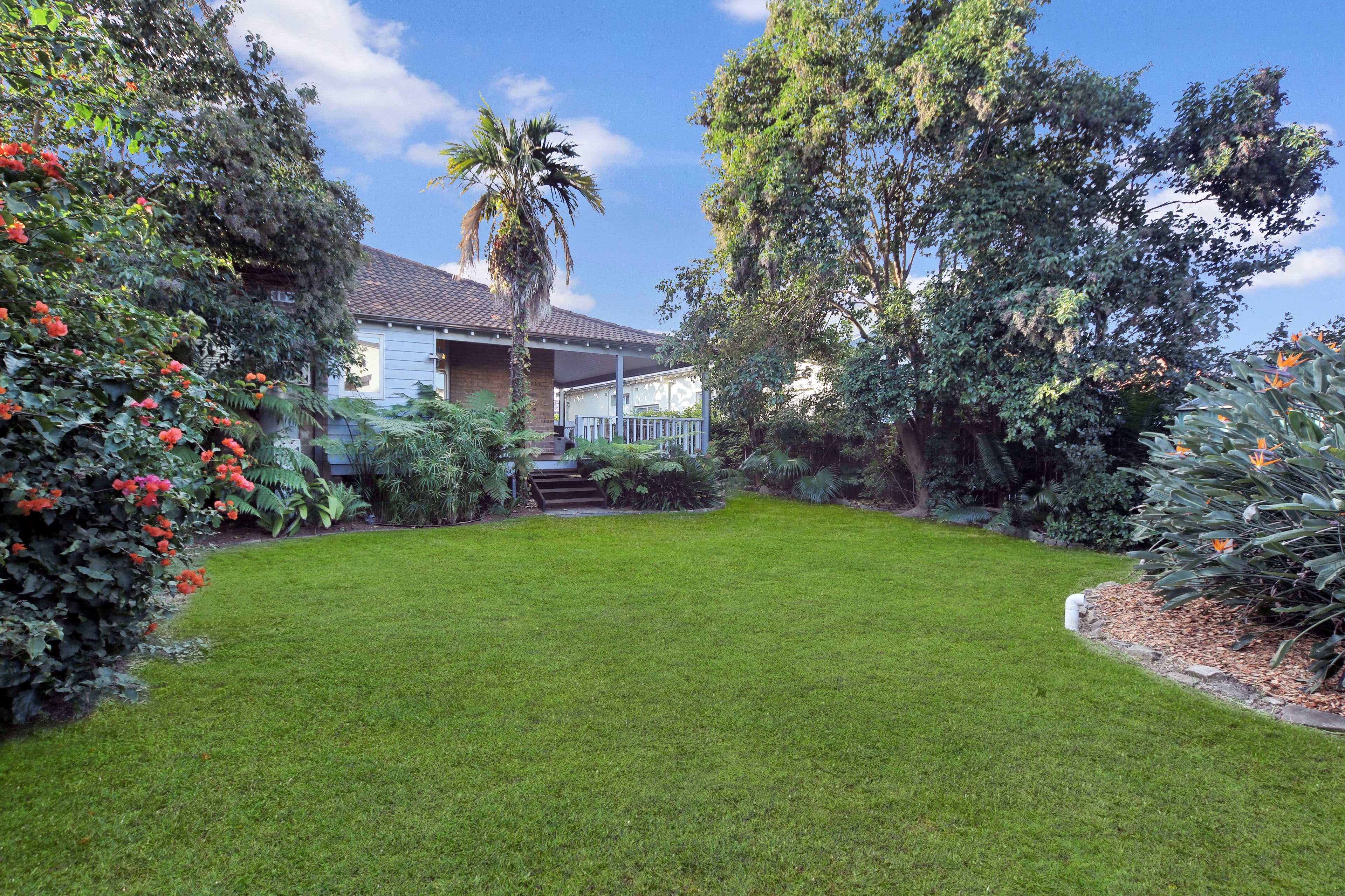 12 Forsyth Street, Willoughby NSW 2068, Willoughby - Image 1