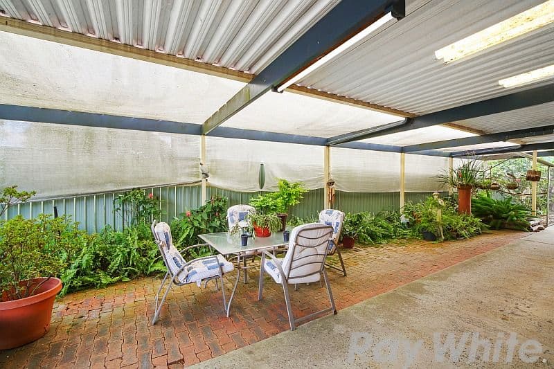 15 Walu Avenue, Budgewoi - Thumbnail 4