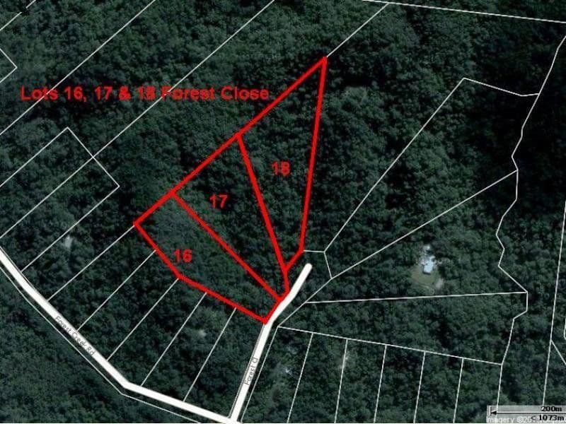 Lot 16 Forest Close, DAINTREE QLD 4873, Daintree - Thumbnail 2