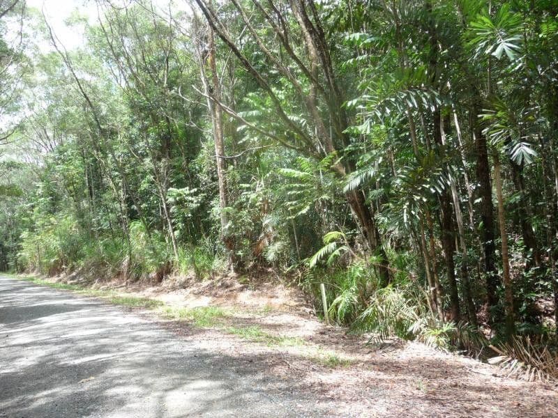 Lot 16 Forest Close, DAINTREE QLD 4873, Daintree - Thumbnail 5