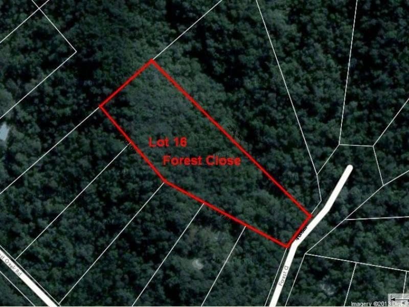 Lot 16 Forest Close, DAINTREE QLD 4873, Daintree - Thumbnail 6