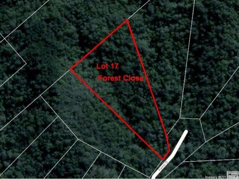 Lot 16 Forest Close, DAINTREE QLD 4873, Daintree - Thumbnail 7