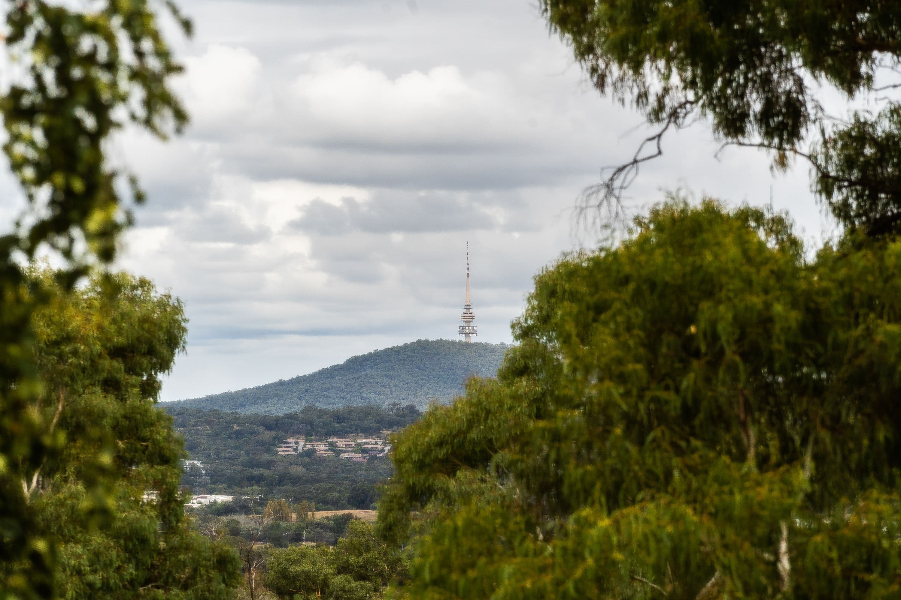 133 Kingsford Smith Drive, Melba ACT 2615, Melba - Thumbnail 2