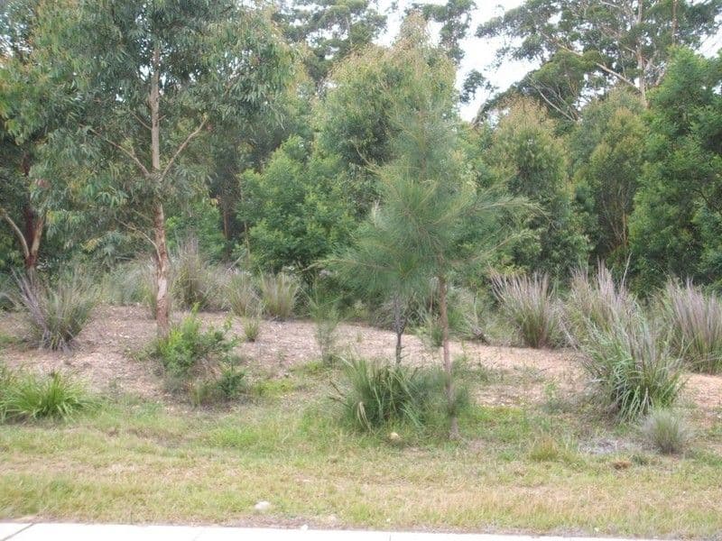 113 Courtenay Crescent, LONG BEACH NSW 2536, Long Beach - Thumbnail 2