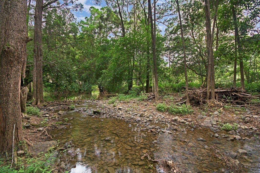 70 Chinaman Creek, Maleny QLD 4552, Maleny - Thumbnail 7