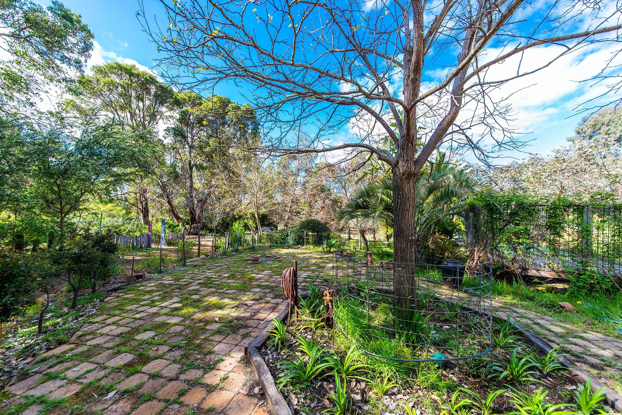 94 Cockatoo Drive, Nannup WA 6275, Nannup - Thumbnail 3