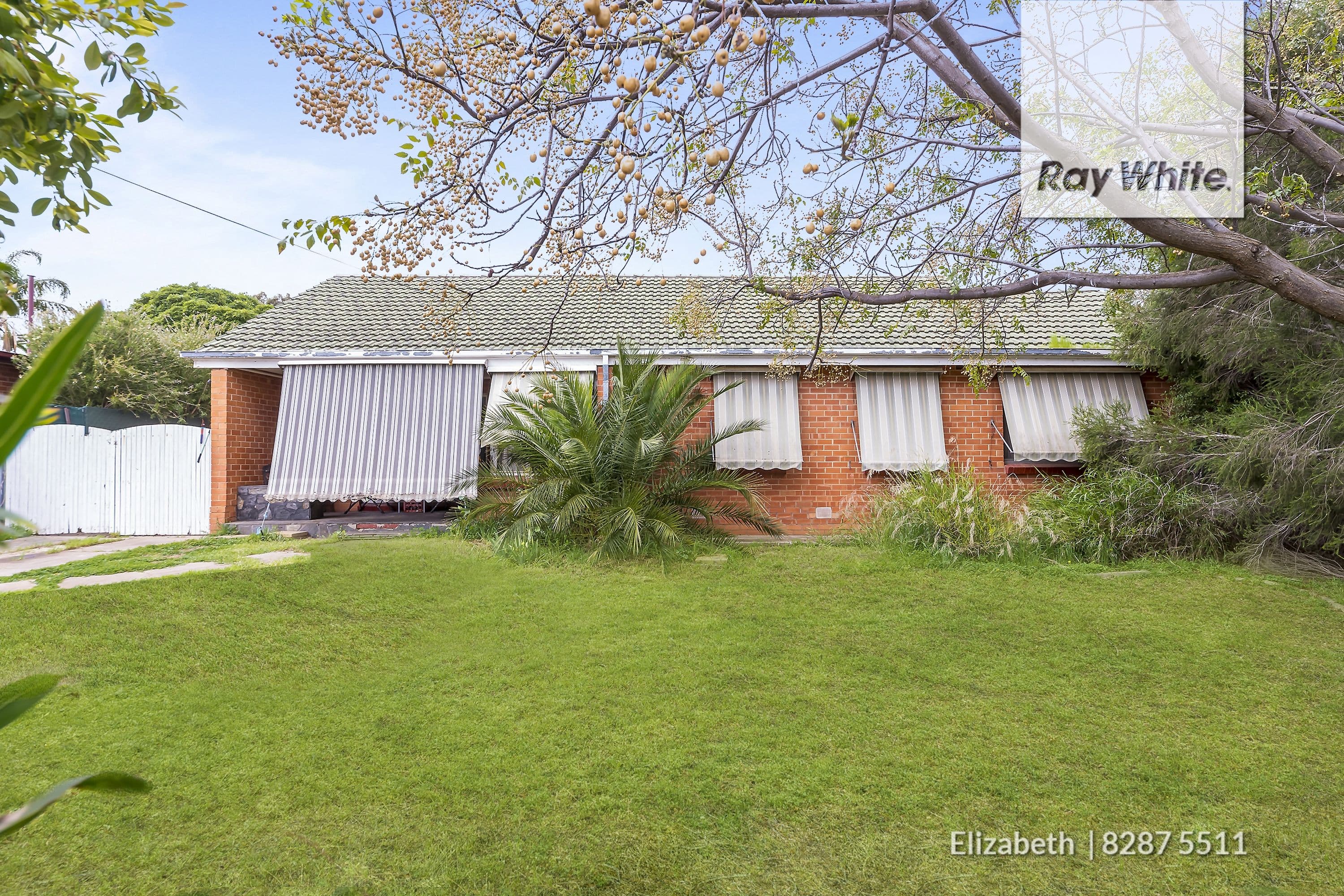 14 Brunton Street, Elizabeth North SA 5113, Elizabeth North - Thumbnail 2