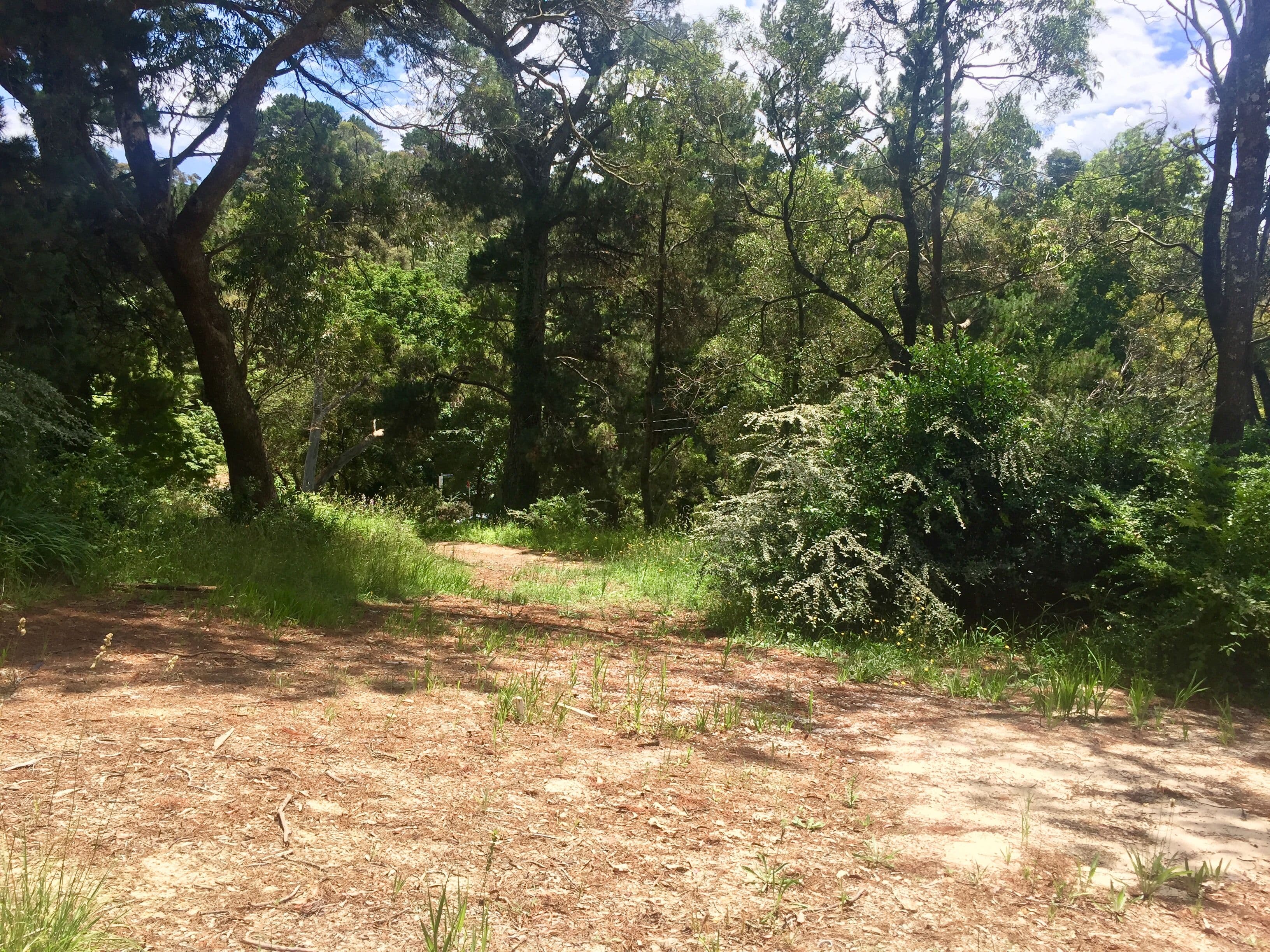 22 Gardiners Crescent, Blackheath NSW 2785, Blackheath - Image 1