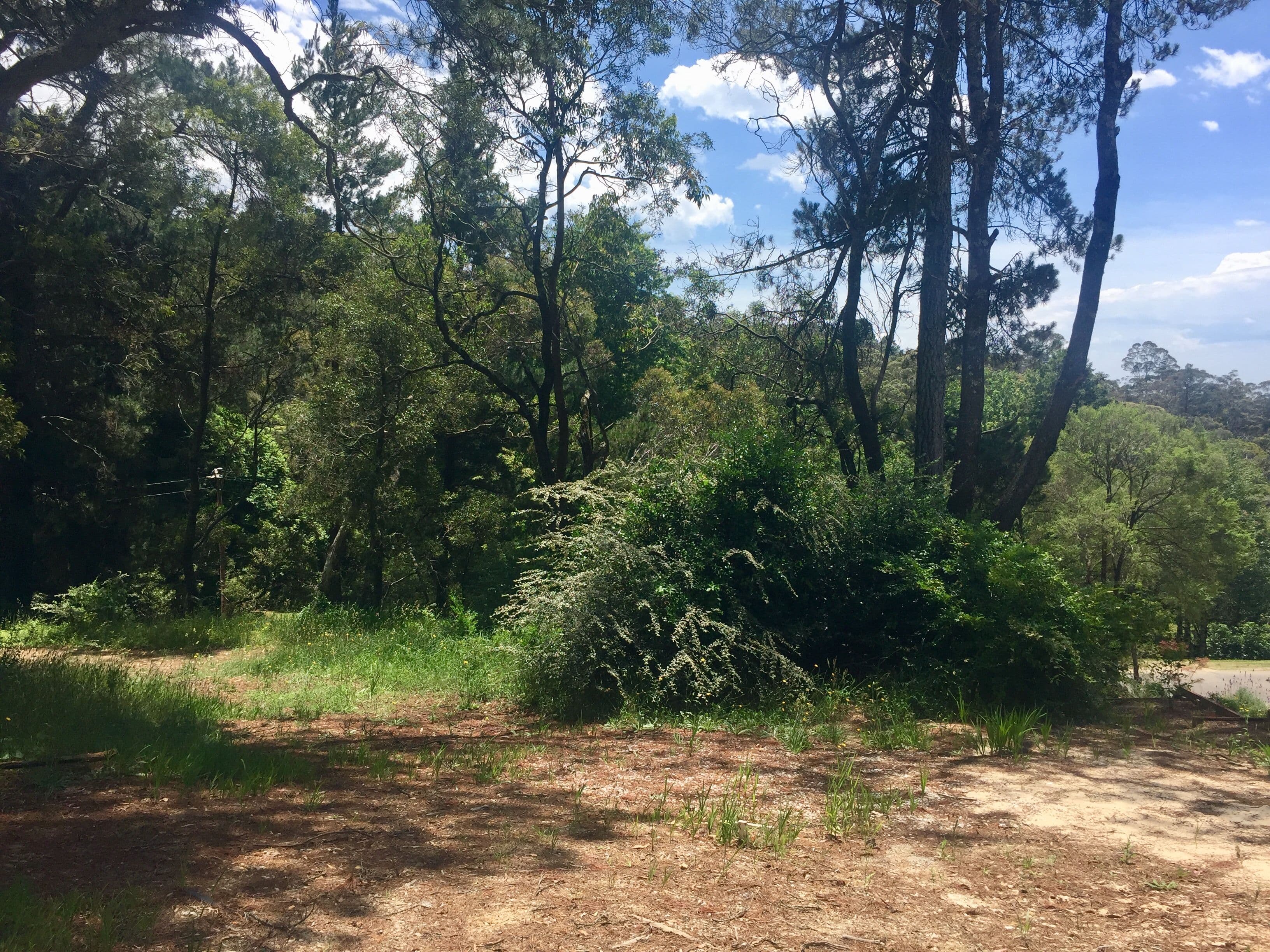 22 Gardiners Crescent, Blackheath NSW 2785, Blackheath - Thumbnail 3