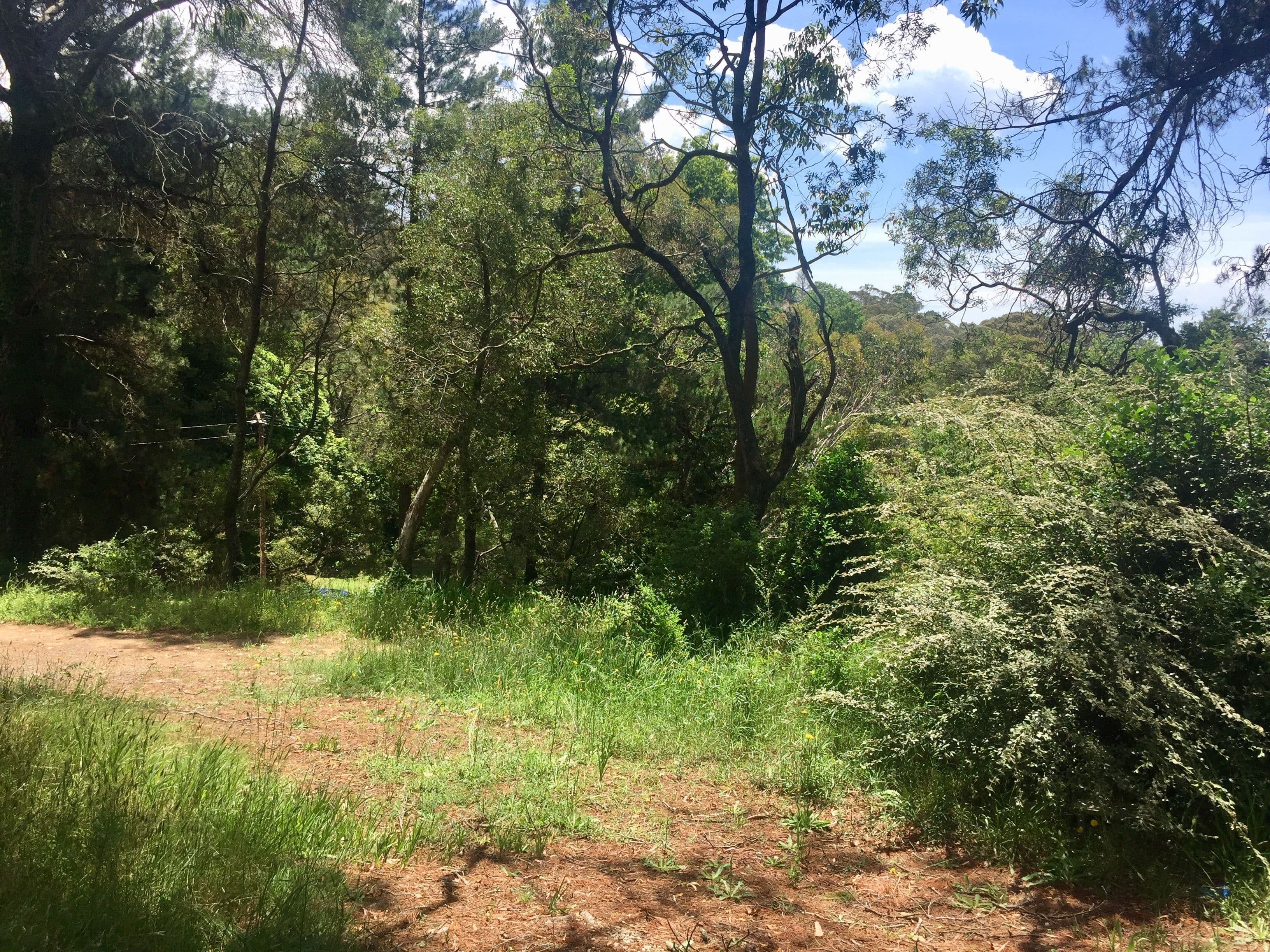 22 Gardiners Crescent, Blackheath NSW 2785, Blackheath - Thumbnail 4