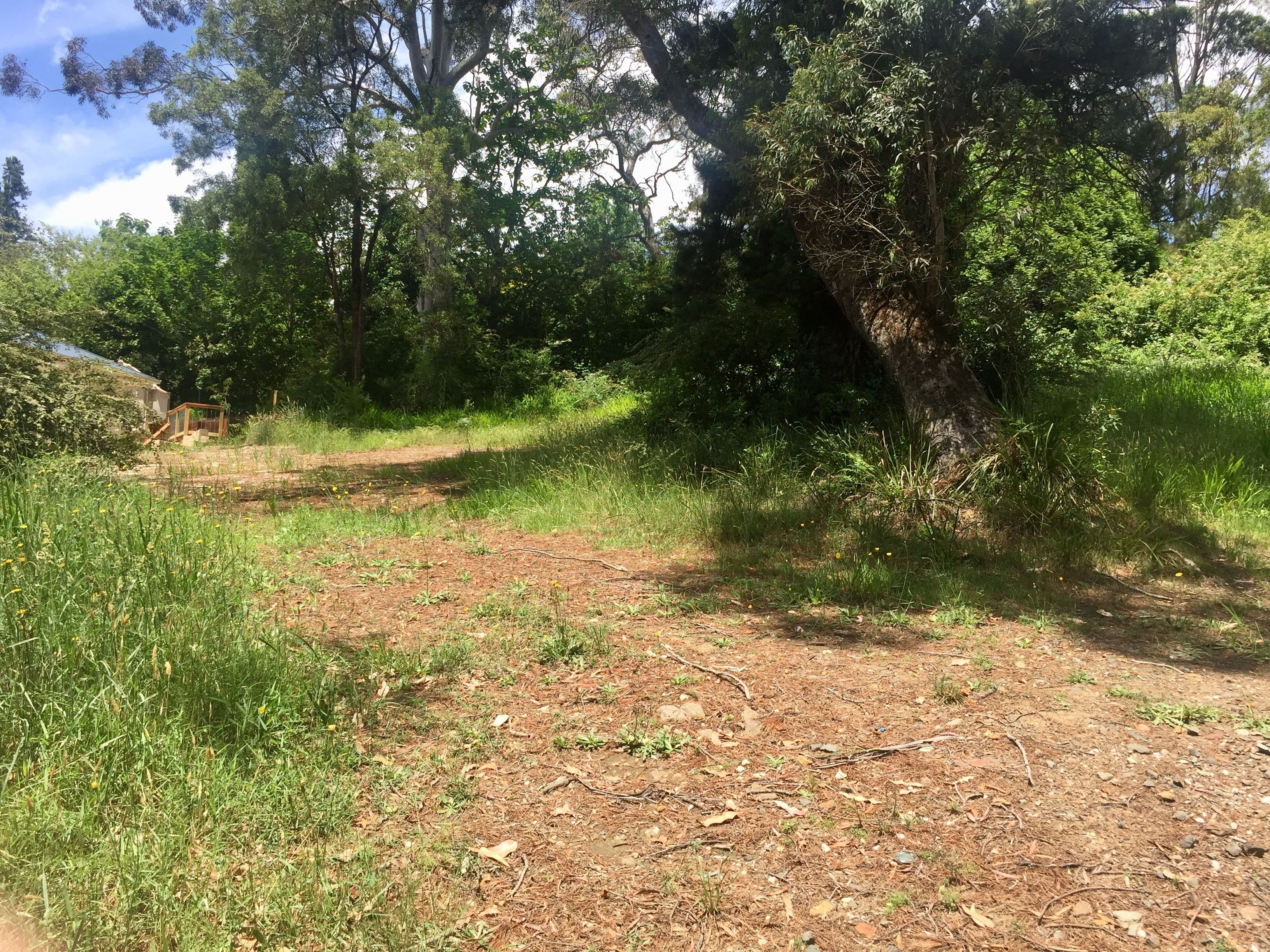 22 Gardiners Crescent, Blackheath NSW 2785, Blackheath - Thumbnail 5