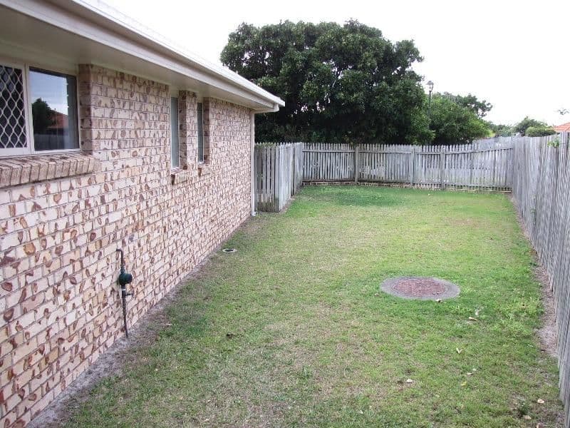 161 Peregrine Drive, WURTULLA QLD 4575, Wurtulla - Thumbnail 5