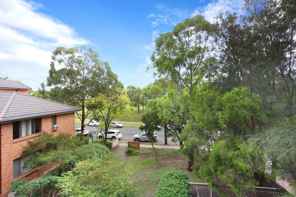 153 Waldron Road, Chester Hill NSW 2162, Chester Hill - Thumbnail 5