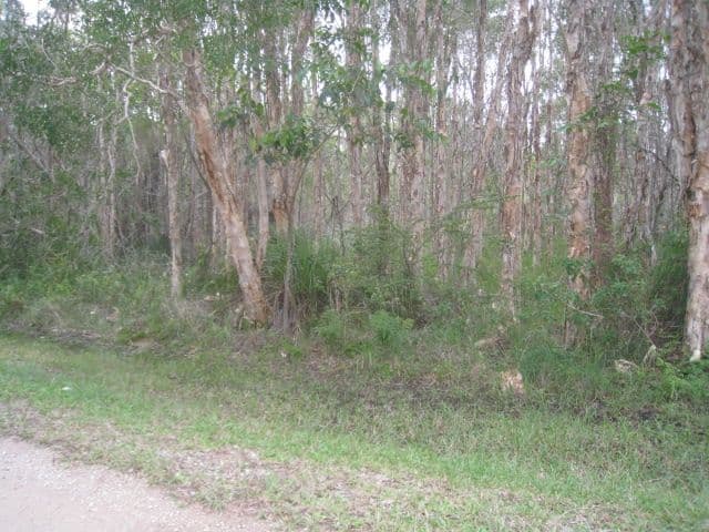 51 Lagoon Road, RUSSELL ISLAND QLD 4184, Russell Island - Image 1