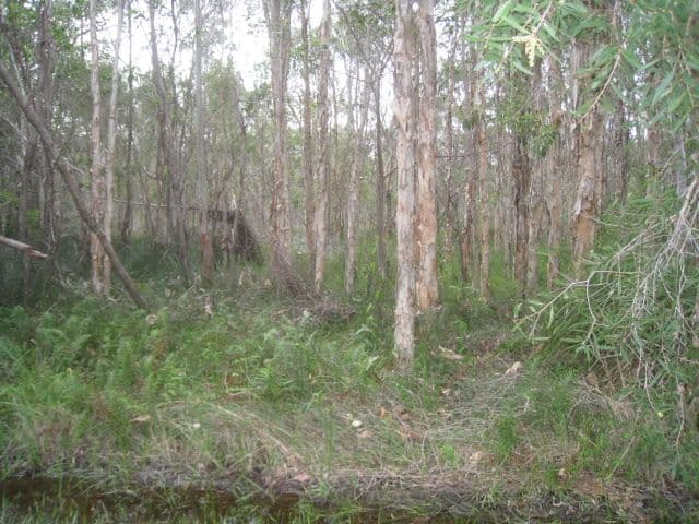 51 Lagoon Road, RUSSELL ISLAND QLD 4184, Russell Island - Thumbnail 2