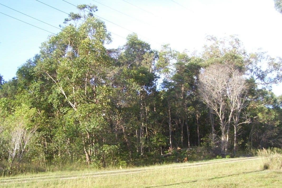 51 Lagoon Road, RUSSELL ISLAND QLD 4184, Russell Island - Thumbnail 3
