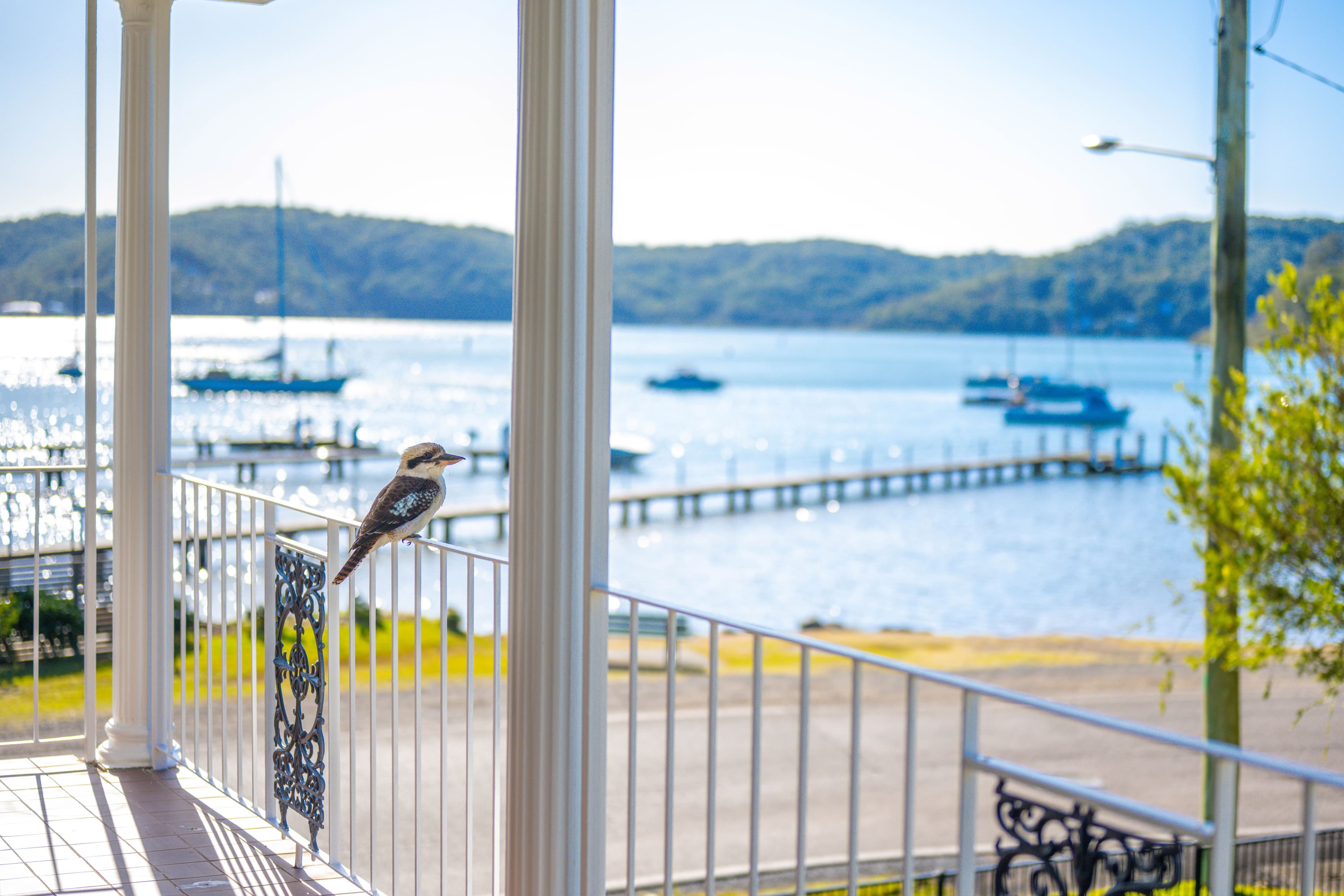 12 Venice Road, Pretty Beach NSW 2257, Pretty Beach - Image 1