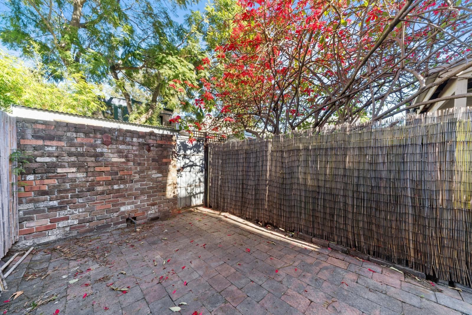 7 Bartley Street, Chippendale - Thumbnail 6