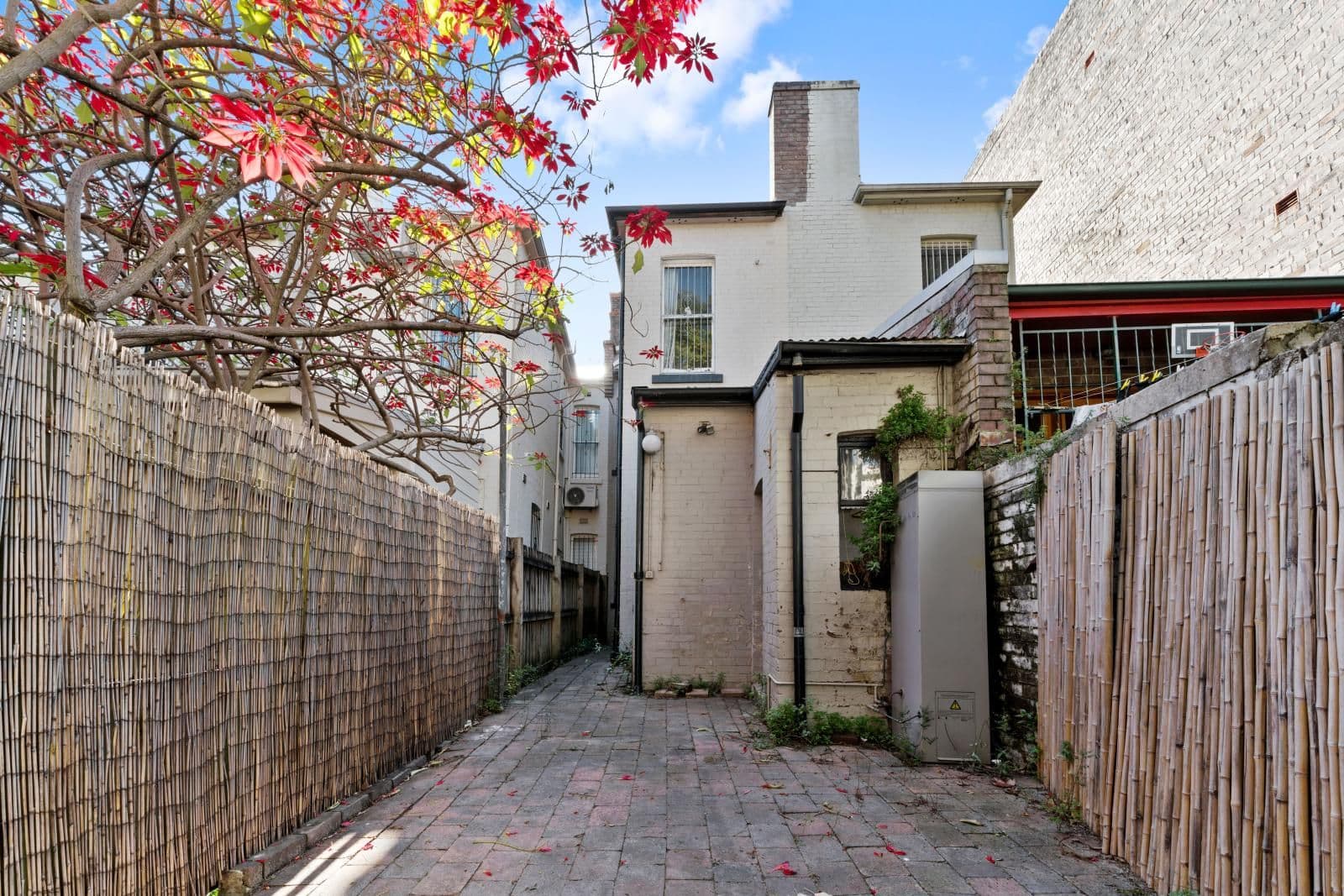 7 Bartley Street, Chippendale - Thumbnail 7