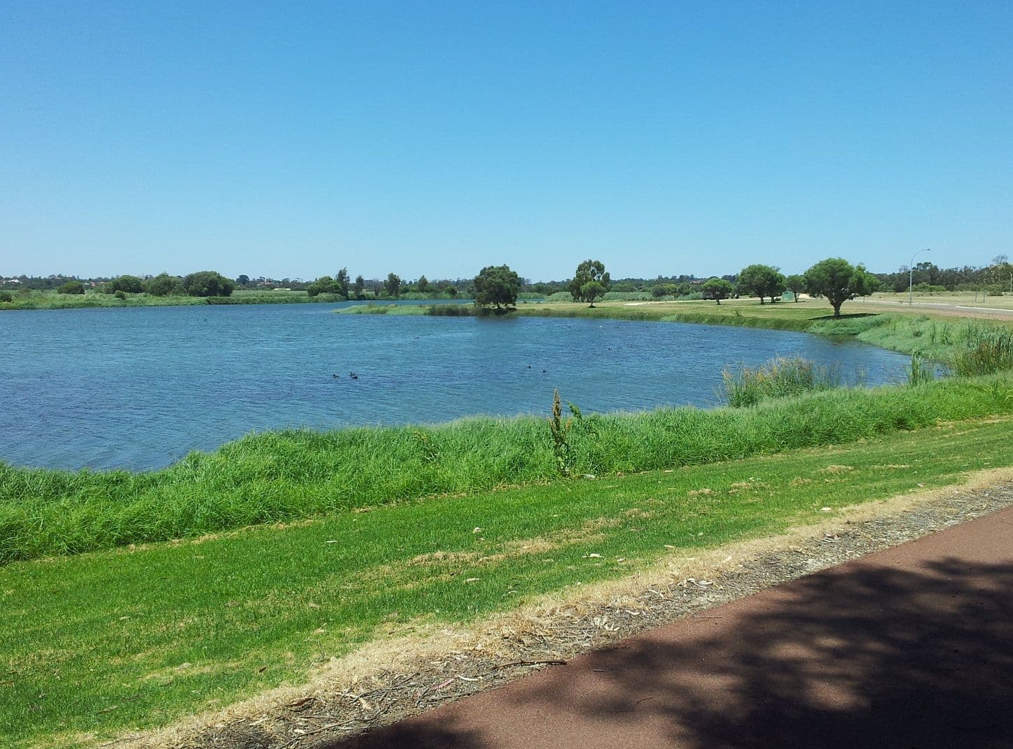 19 Moline Court, CHURCHLANDS WA 6018, Churchlands - Thumbnail 3