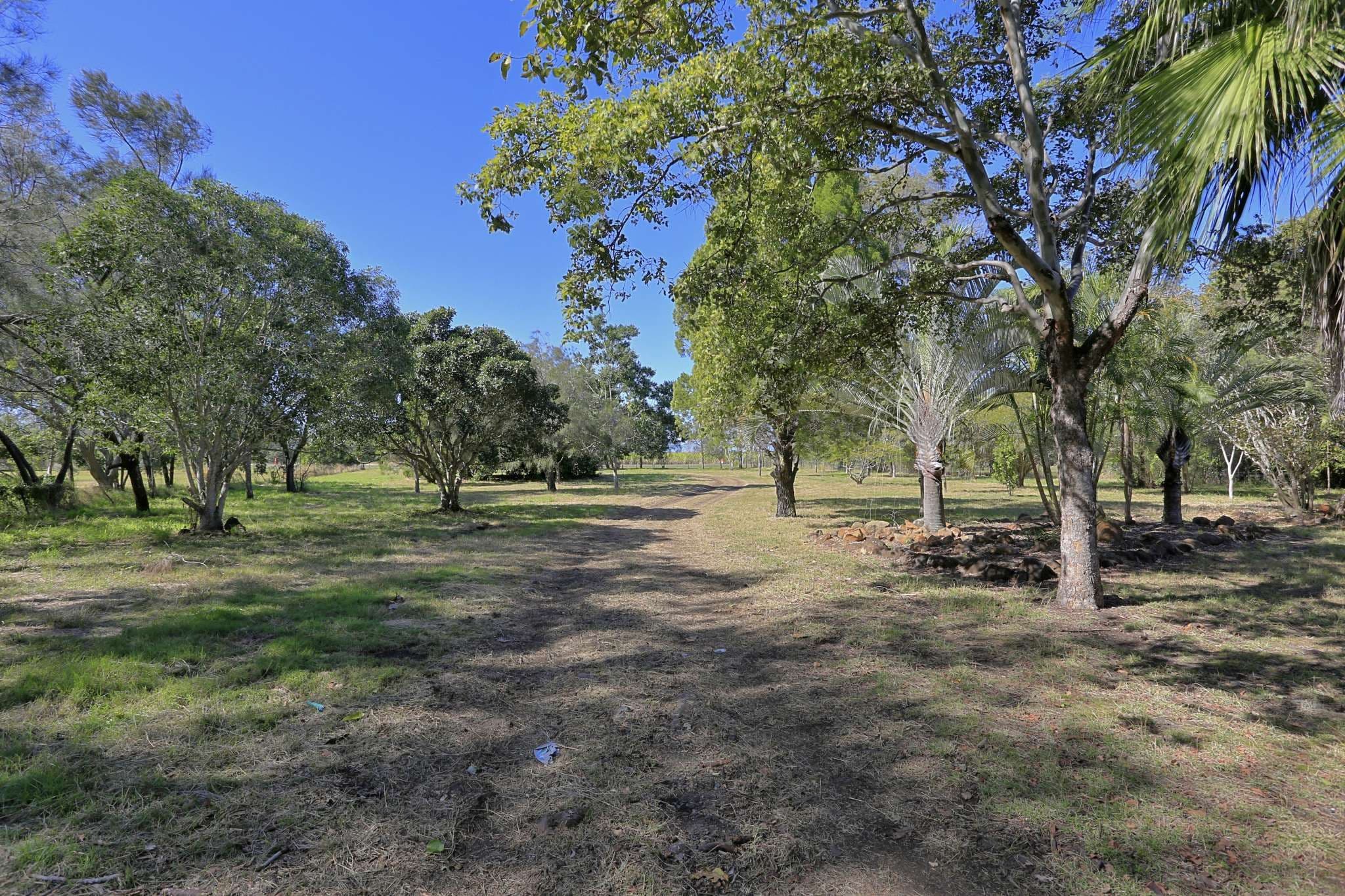 146 Back Windermere Road, Innes Park QLD 4670, Innes Park - Thumbnail 5