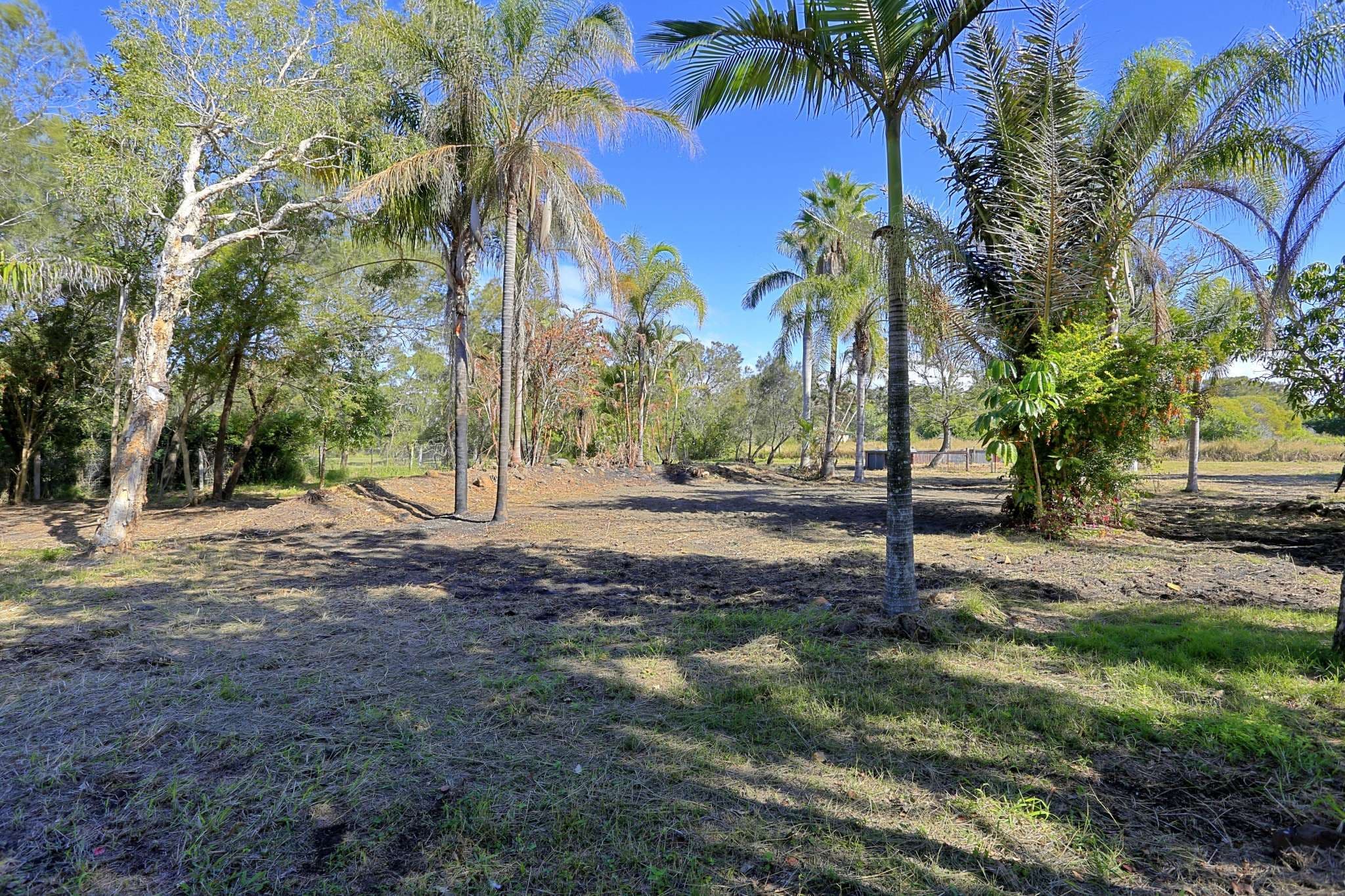 146 Back Windermere Road, Innes Park QLD 4670, Innes Park - Thumbnail 6