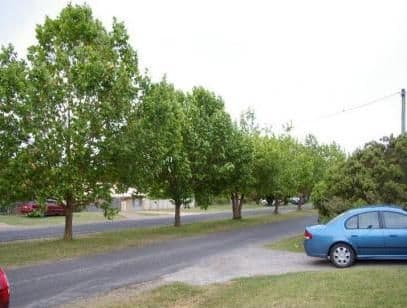 51 Argyle Street, NEW BERRIMA NSW 2577, New Berrima - Thumbnail 3